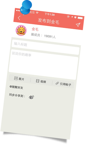 215118tinjjponwyolon3o.jpg