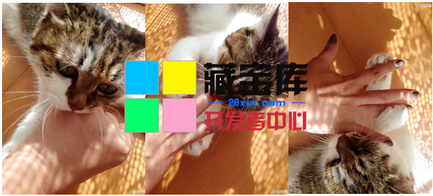 202102qywy9w8wyw8993pu.jpg