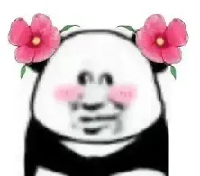 2.png